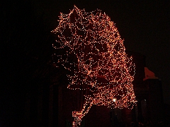 093 Toledo Zoo Light Show [2008 Dec 27]